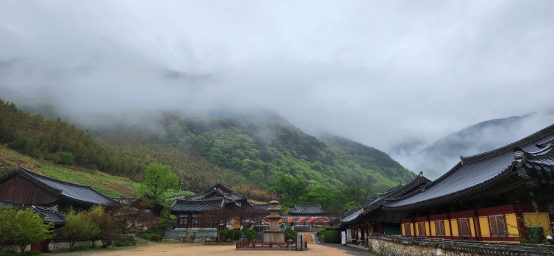 KakaoTalk_20250420_083815327.jpg