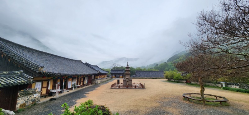 KakaoTalk_20250420_083815327_02.jpg
