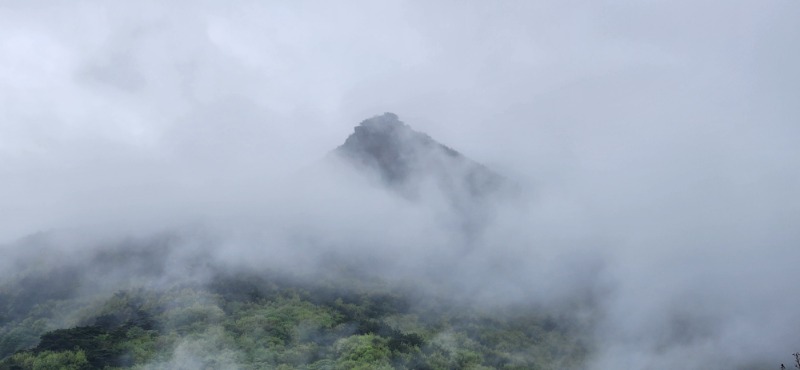 KakaoTalk_20250420_083815327_13.jpg