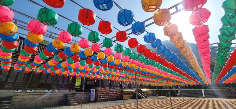 KakaoTalk_20250421_084553540_01.jpg