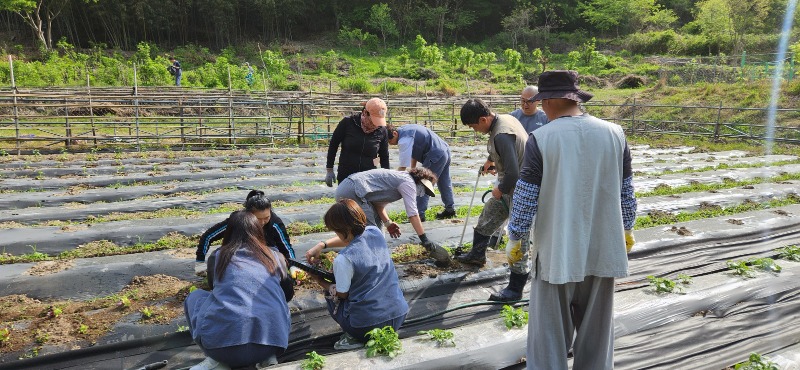 KakaoTalk_20250427_104421767_01.jpg