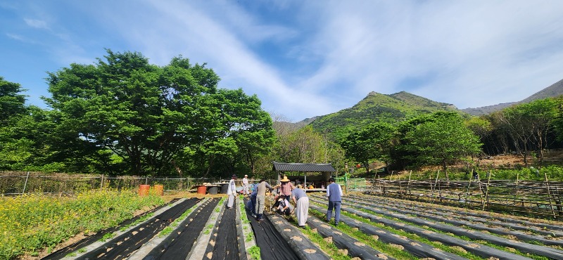 KakaoTalk_20250427_104421767_03.jpg