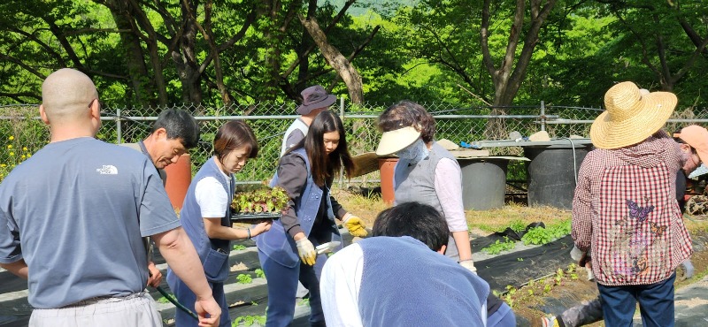 KakaoTalk_20250427_104421767_05.jpg