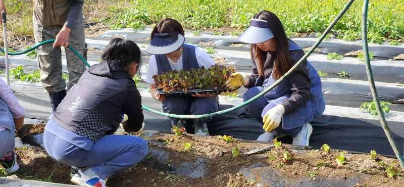 KakaoTalk_20250427_104421767_19.jpg