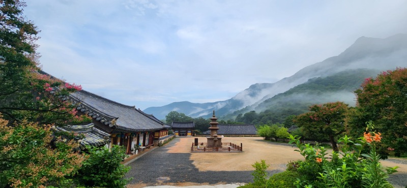 KakaoTalk_20250718_092245686_09.jpg