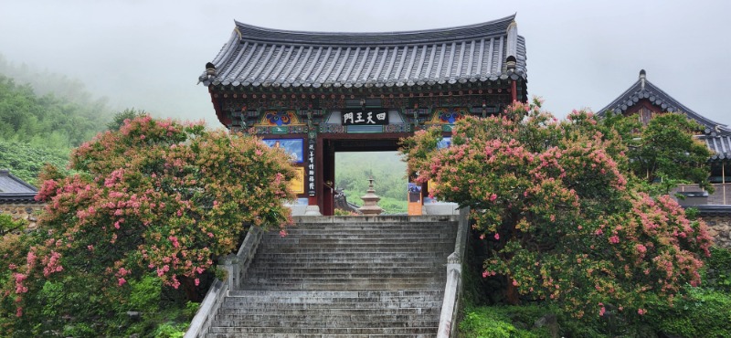 KakaoTalk_20250718_092245686_02.jpg