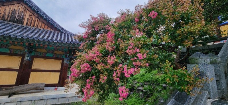 KakaoTalk_20250718_092245686_04.jpg