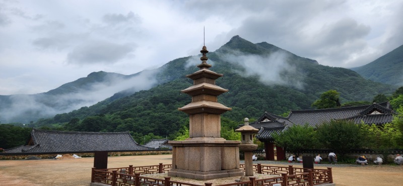KakaoTalk_20250720_081757317.jpg