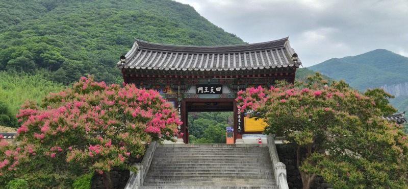 KakaoTalk_20260717_084733288.jpg