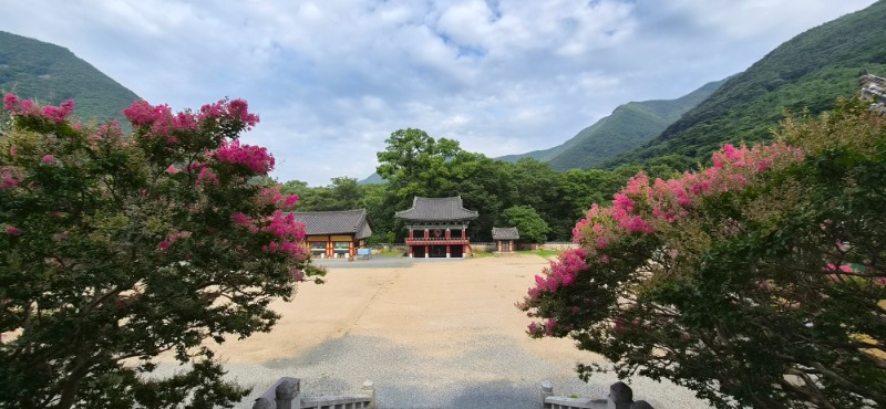 KakaoTalk_20260717_084018917.jpg