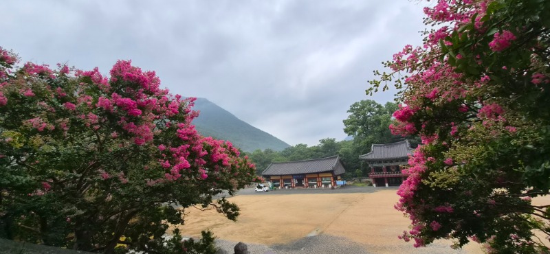 KakaoTalk_20260720_084335510_02.jpg