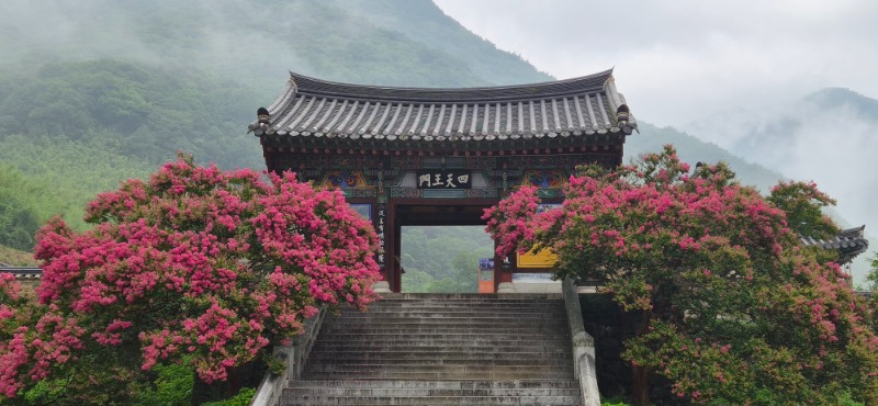 KakaoTalk_20260720_084335510_01.jpg