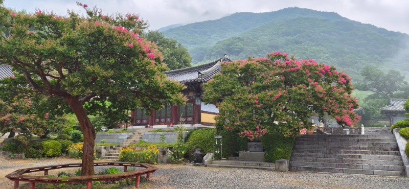 KakaoTalk_20260720_084335510_07.jpg