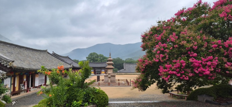 KakaoTalk_20260720_084335510_09.jpg