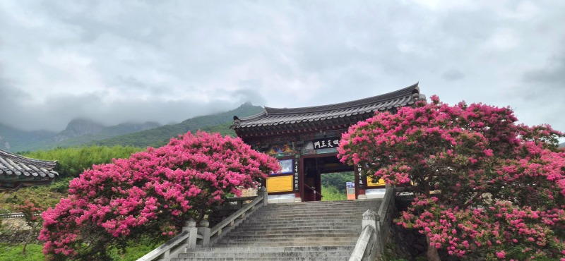 KakaoTalk_20260723_095038855_03.jpg