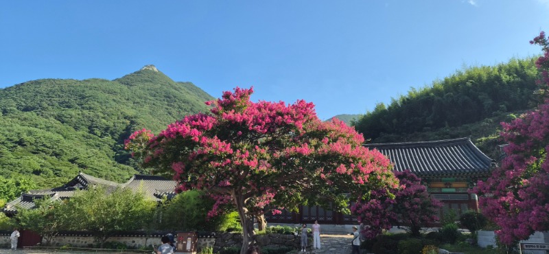 KakaoTalk_20260726_131723244.jpg