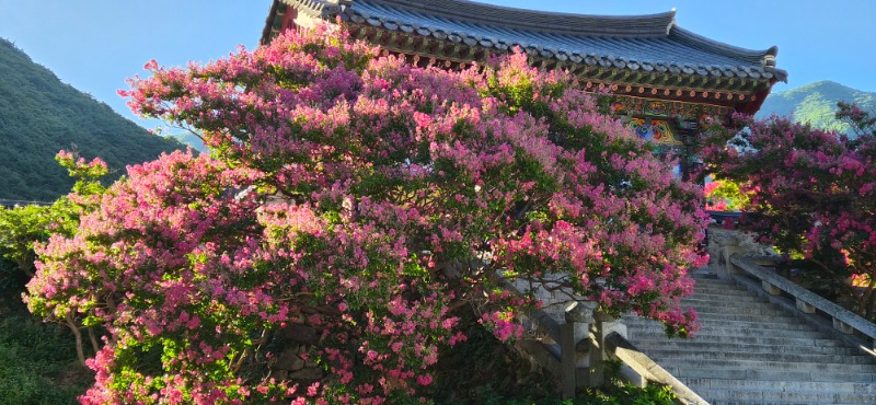 KakaoTalk_20260730_083550309_01.jpg