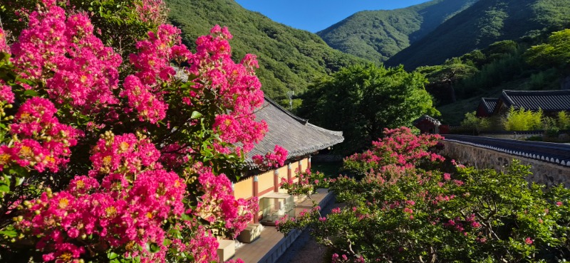 KakaoTalk_20260730_083550309_05.jpg